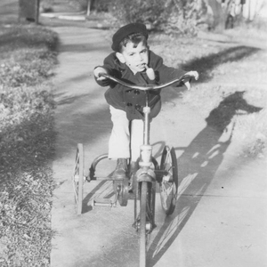 Bob Nesson